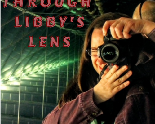 Through Libby's Lens Cover photo